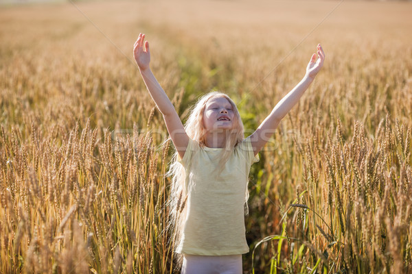 Dziewczyna pole pszenicy mały w górę Zdjęcia stock © chesterf