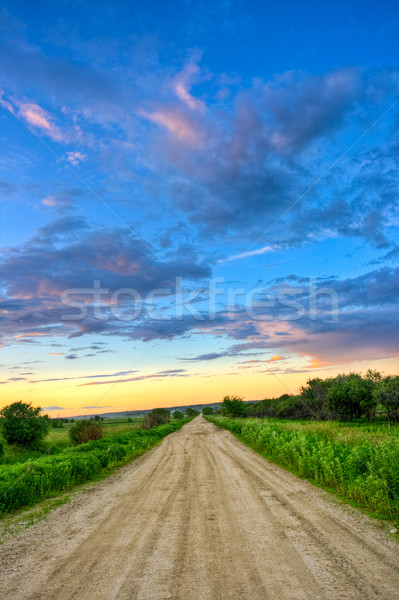 Camino de tierra puesta de sol campos cielo hierba paisaje Foto stock © chesterf