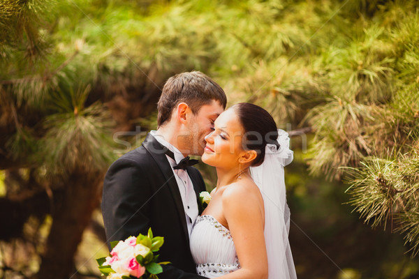 bride and groom outdoors portrait Stock photo © chesterf