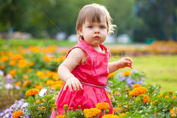 Stock photo: little girl in orange flowers