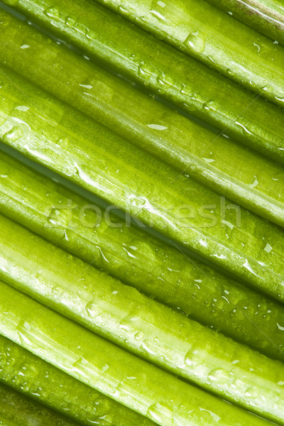 Diagonale verde impianto rugiada gocce alimentare Foto d'archivio © chesterf