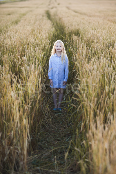 Menina campo de trigo feliz pequeno em pé Foto stock © chesterf