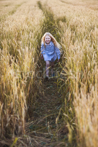 Dziewczyna pole pszenicy szczęśliwy mały uruchomiony Zdjęcia stock © chesterf