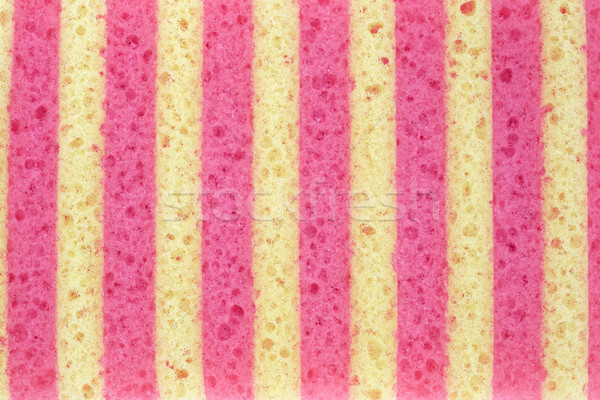 Sponge texture  Stock photo © cheyennezj