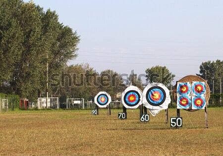стрельба из лука спорт области группа кольца играть Сток-фото © cheyennezj