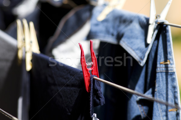 Drying of linen  Stock photo © cheyennezj