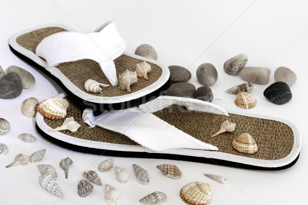 Flip Flop  Stock photo © cheyennezj