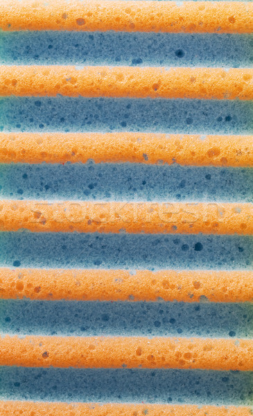 Sponge texture  Stock photo © cheyennezj