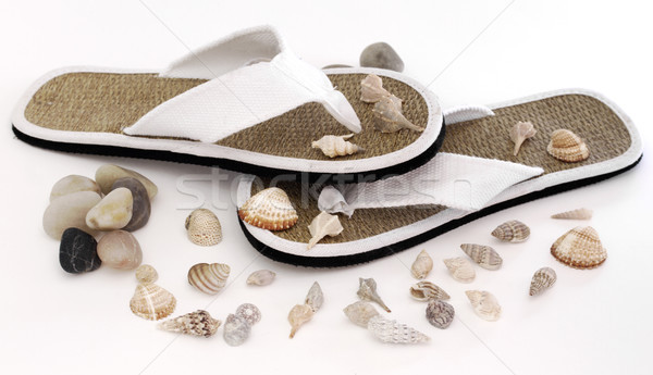 Flip Flop  Stock photo © cheyennezj