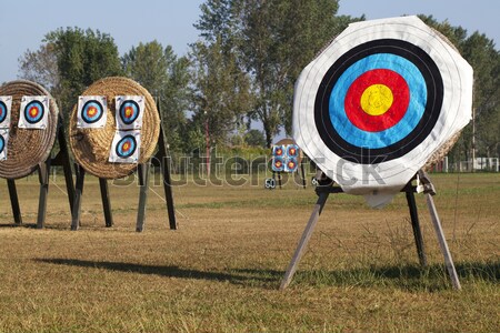 íjászat sport mező csoport gyűrű játék Stock fotó © cheyennezj