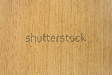 Fa textúra fa építkezés terv otthon asztal Stock fotó © cheyennezj