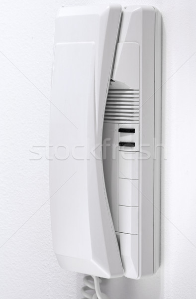 Door phone  Stock photo © cheyennezj