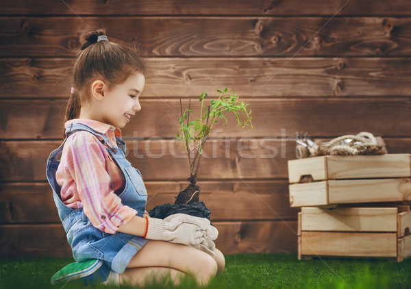 girl cares for plants Stock photo © choreograph