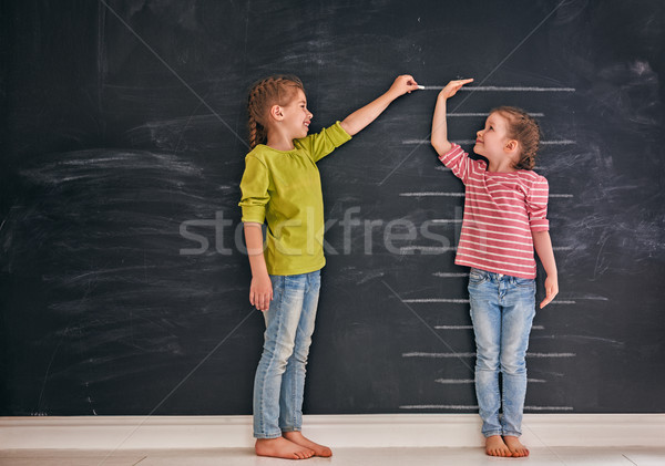 sisters play together Stock photo © choreograph