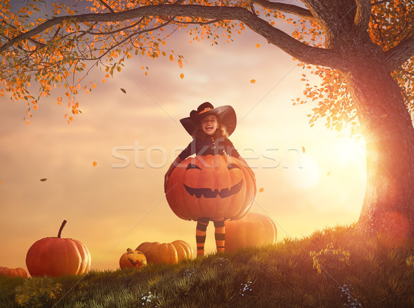 Strega grande zucca felice halloween cute Foto d'archivio © choreograph