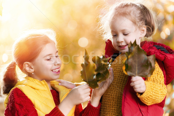 Foto d'archivio: Bambini · autunno · piedi · felice · giocare