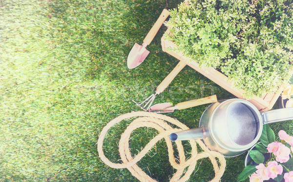 Stockfoto: Tools · gras · tuingereedschap · vers · bloemen · planten