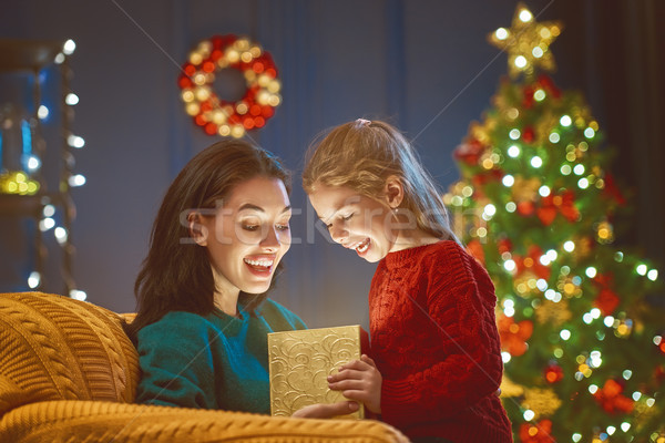 Család mágikus ajándék doboz vidám karácsony boldog Stock fotó © choreograph