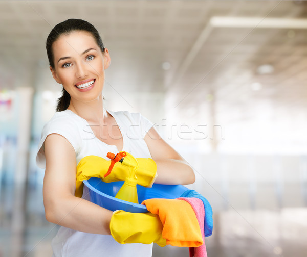 Stock photo: housewife