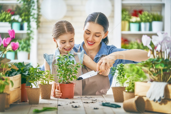 Happy family in spring day. Stock photo © choreograph