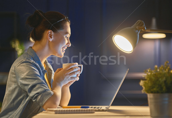 Kobieta pracy laptop szczęśliwy przypadkowy piękna kobieta Zdjęcia stock © choreograph