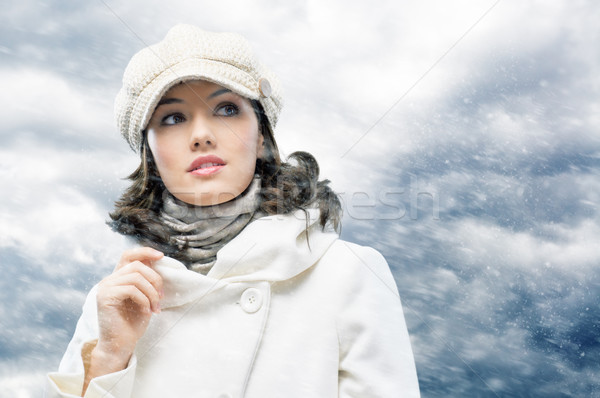 wintertime Stock photo © choreograph