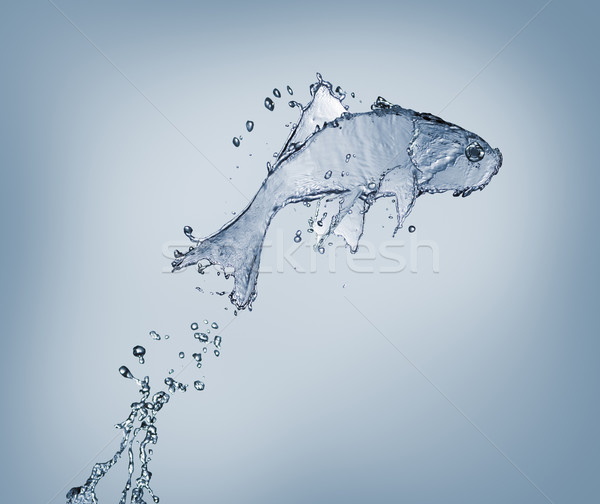 água símbolo transparente azul peixe abstrato Foto stock © choreograph