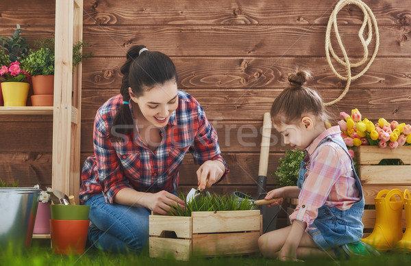 Mutter Tochter engagiert Gartenarbeit cute Kind Stock foto © choreograph
