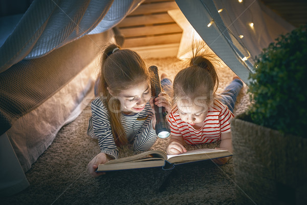 children are reading a book Stock photo © choreograph