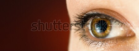 Stock photo: beauty eye
