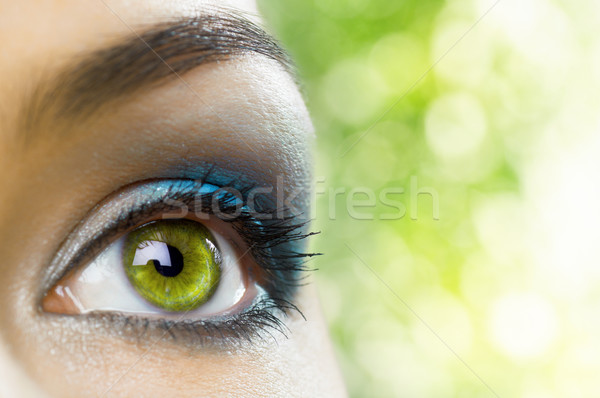 Schoonheid oog macro afbeelding vrouw mode Stockfoto © choreograph