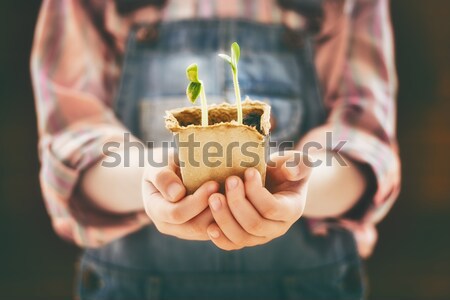 child cares for plants Stock photo © choreograph