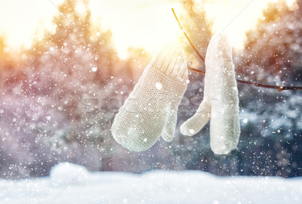Eldiveni asılı beyaz park kış Stok fotoğraf © choreograph