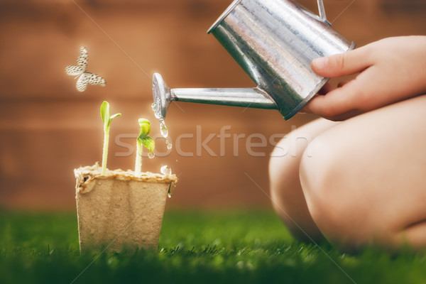 Stock photo: child cares for plants