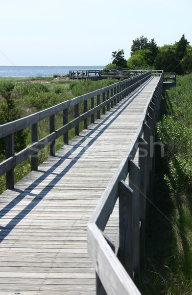 Camino líder fuera playa océano caminando Foto stock © chrisbradshaw