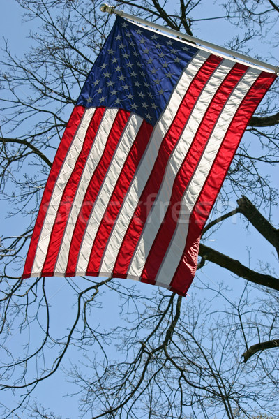 Amerykańską flagę gwiazdki wolności wiatr biały USA Zdjęcia stock © chrisbradshaw