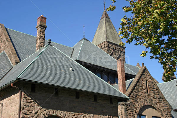Church Roof Stock photo © chrisbradshaw