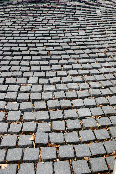 Cobblestone path Stock photo © chrisbradshaw