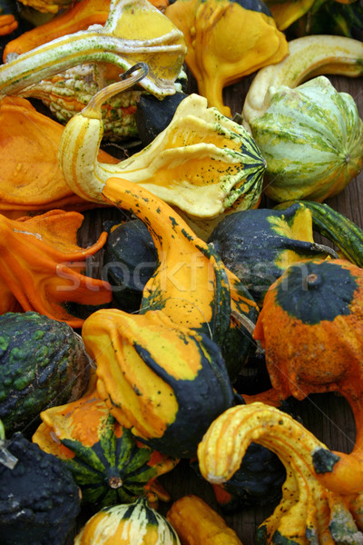 Zdjęcia stock: Dość · kolorowy · gospodarstwa · jesienią · rynku
