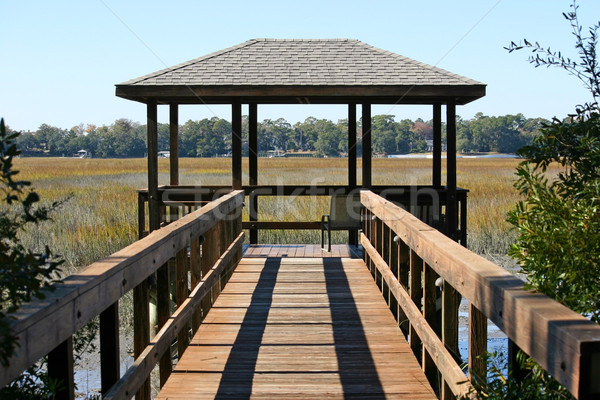 Głowie South Carolina wody trawy drewna charakter Zdjęcia stock © chrisbradshaw
