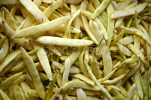 Biały żywności gospodarstwa rynku roślin Zdjęcia stock © chrisbradshaw