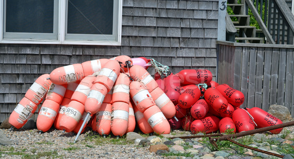 Buoys Stock photo © chrisbradshaw