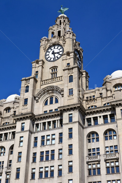 Royal Leber Gebäude Liverpool england Stock foto © chrisdorney
