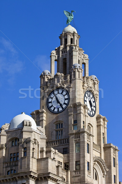 Królewski wątroba budynku Liverpool historyczny Anglii Zdjęcia stock © chrisdorney