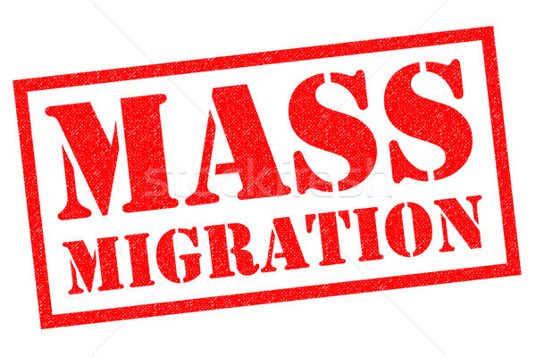 MASS MIGRATION Stock photo © chrisdorney