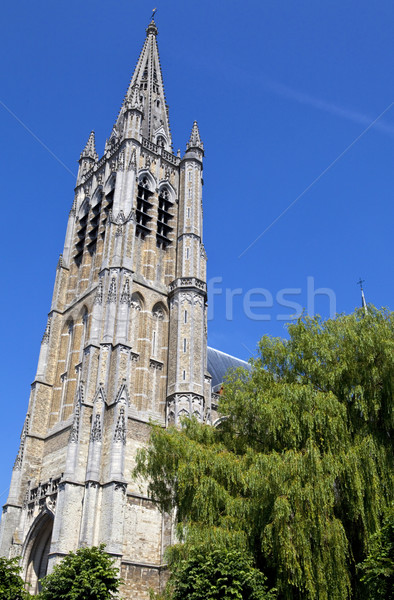 Catedral Bélgica impressionante atravessar janela Foto stock © chrisdorney