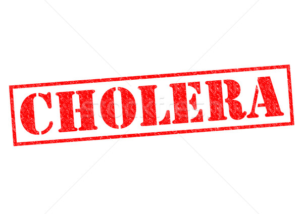 CHOLERA Stock photo © chrisdorney