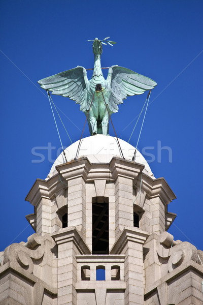 Foto stock: Fígado · pássaro · real · edifício · estátua · Liverpool