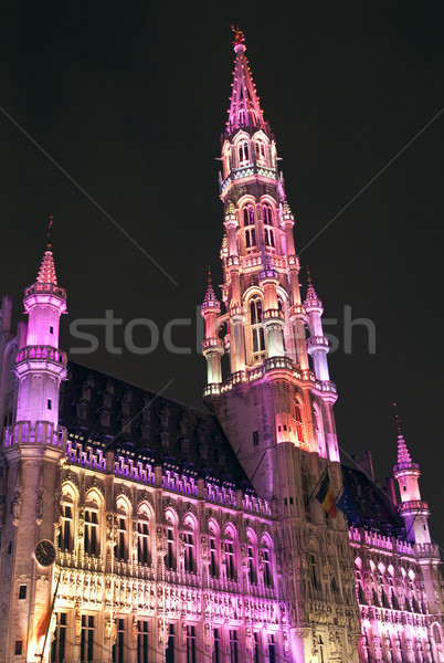 Bruksela miasta sali hotel miejsce Belgia Zdjęcia stock © chrisdorney