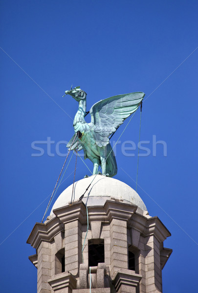 Lever vogel koninklijk gebouw standbeeld Liverpool Stockfoto © chrisdorney